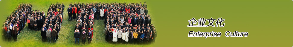 企業(yè)文(wén)化(huà)