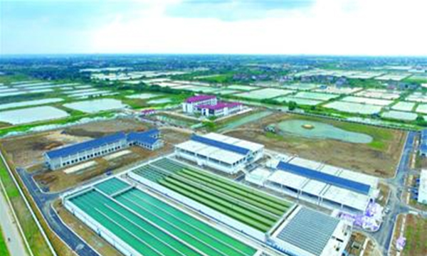 湖(hú)州新建太湖(hú)水(shuǐ)廠(chǎng)一(yī)期生(shēng)産自(zì)動化(huà)系統網絡搭建