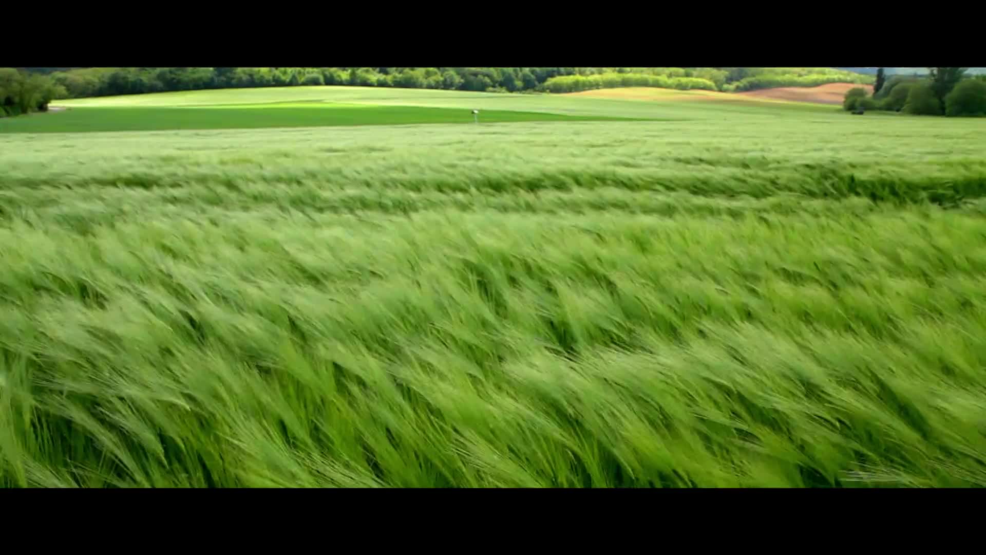 2024海(hǎi)得(de)新能(néng)源宣傳片