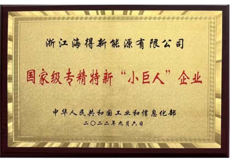 國(guó)家(jiā)級專精特新“小(xiǎo)巨人(rén)”企業(yè)